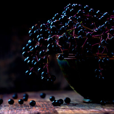 elderberries on vine in a bowl