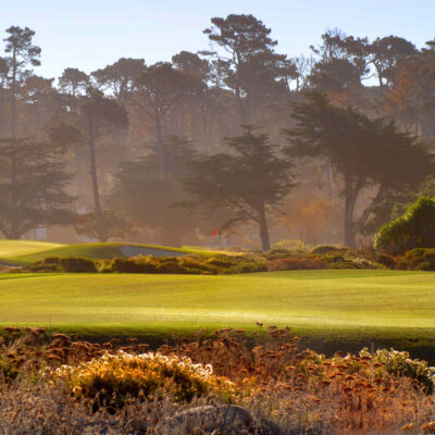 Morning light illuminates a serene golf course with manicured green lawns, diverse trees, and a hazy backdrop.