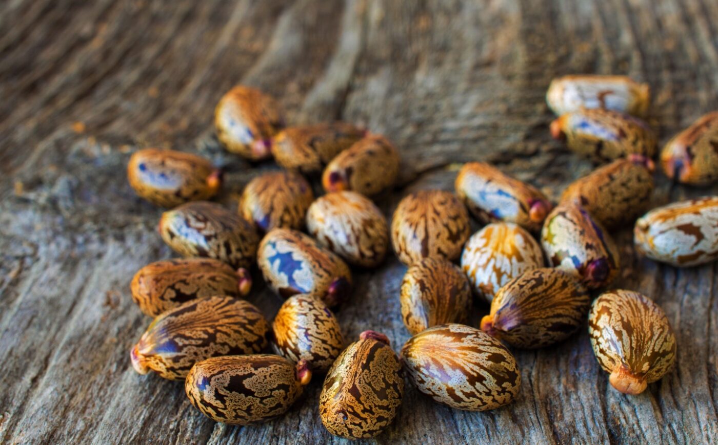 A collection of castor beans scattered on a rustic wooden surface.