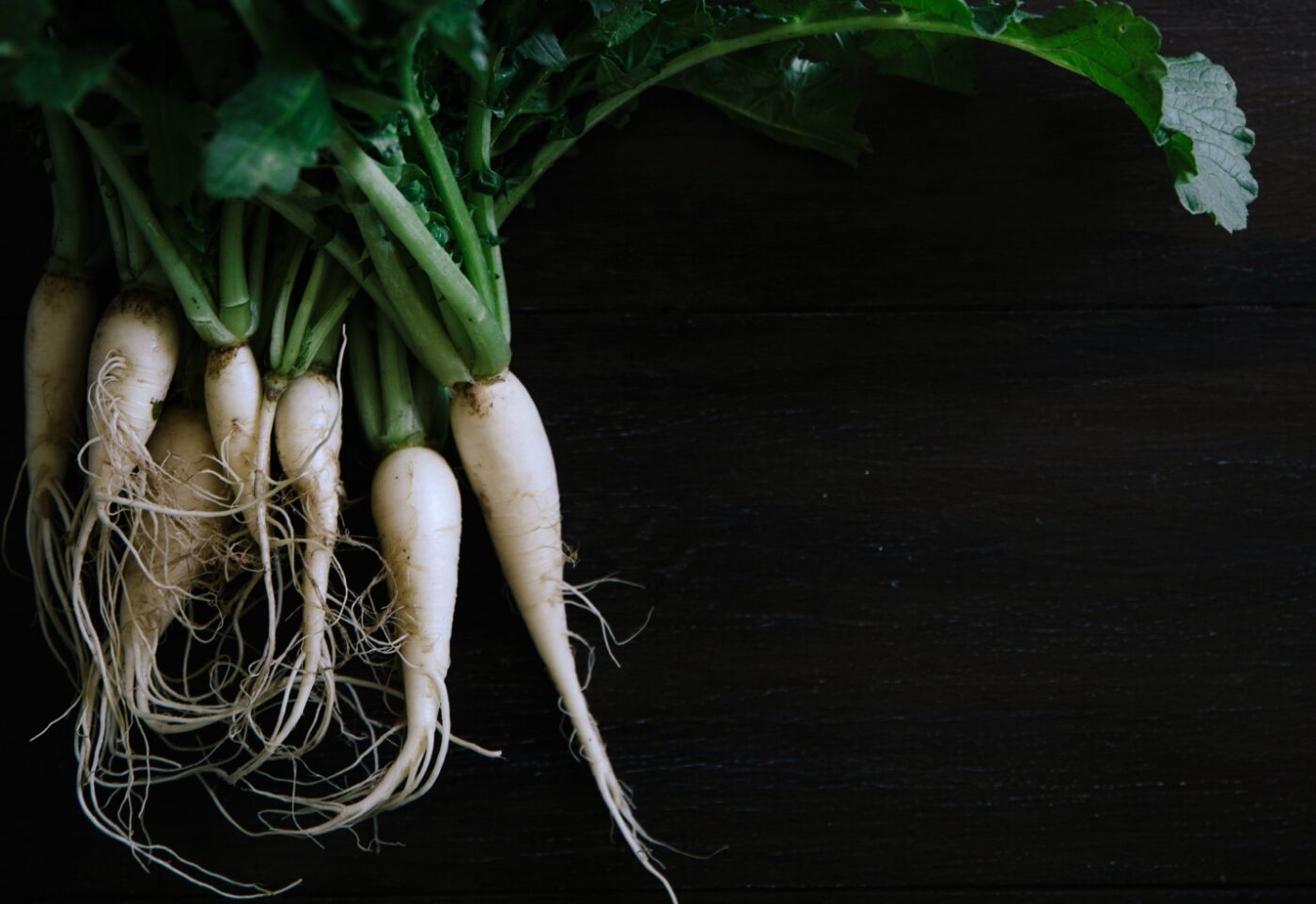 White radishes on black background