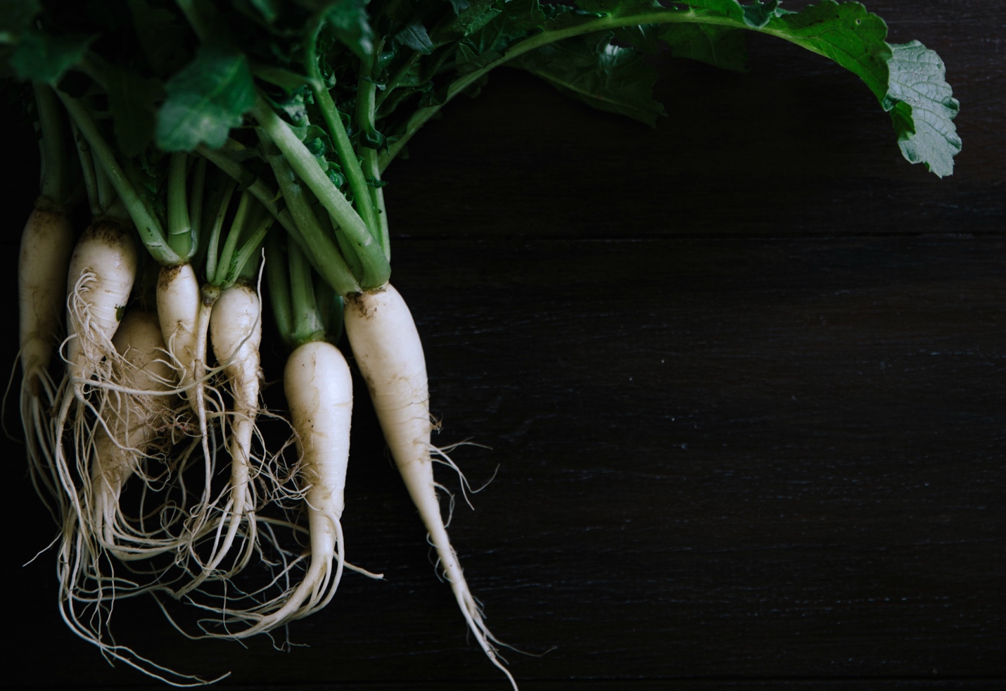 White radishes on black background