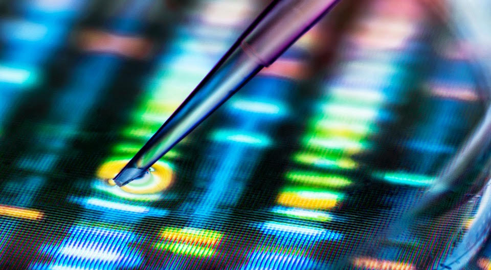 pipette over gene sequencing stripes